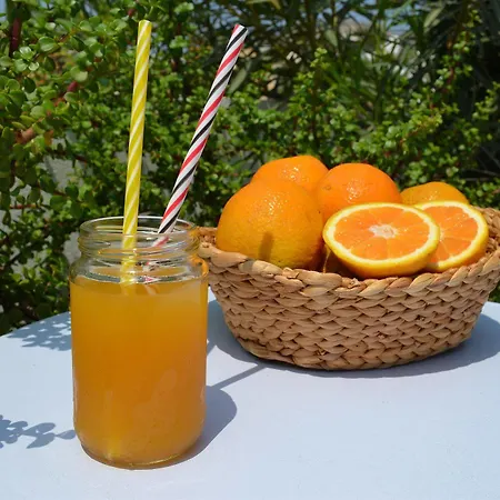 Anna's Guest house 4*